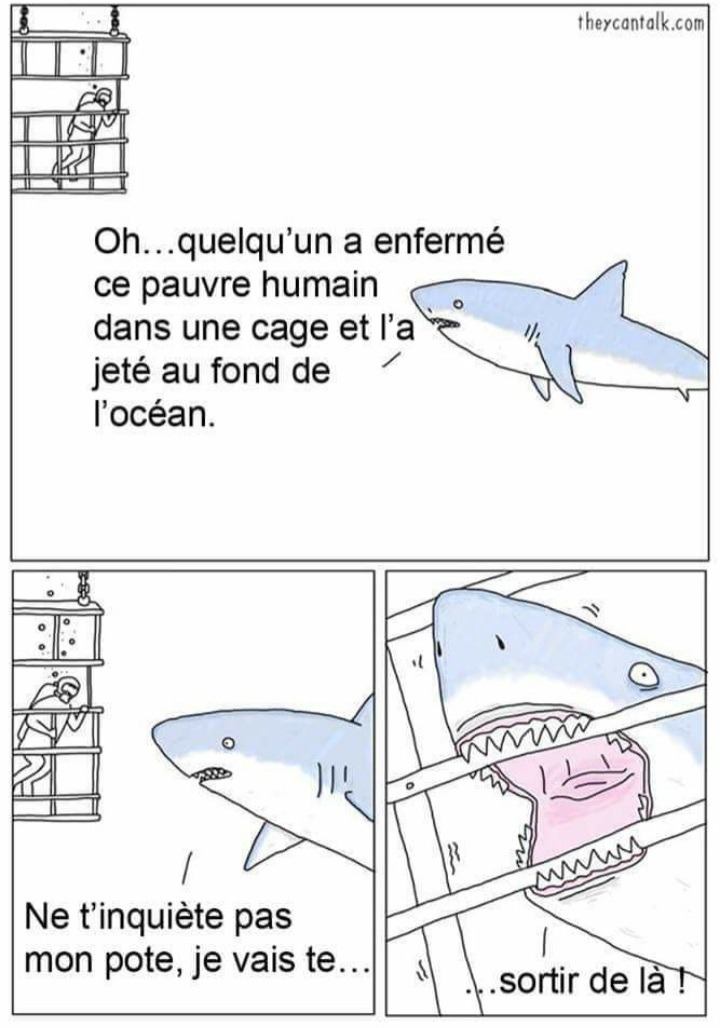 Nom - meme