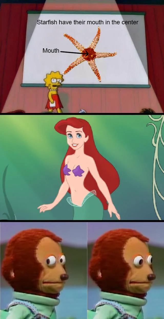we need some explanations here - meme