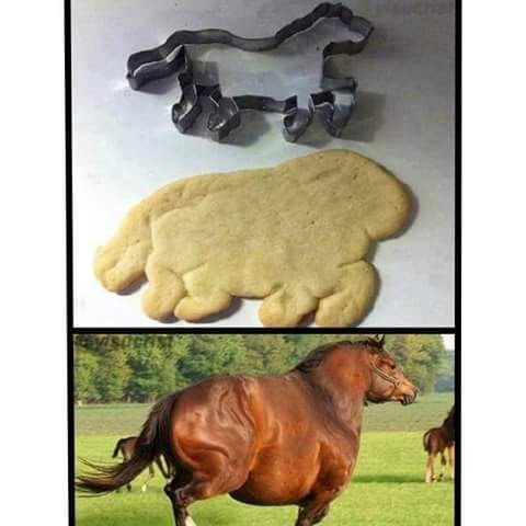 Buenas carreras se pegara :) - meme