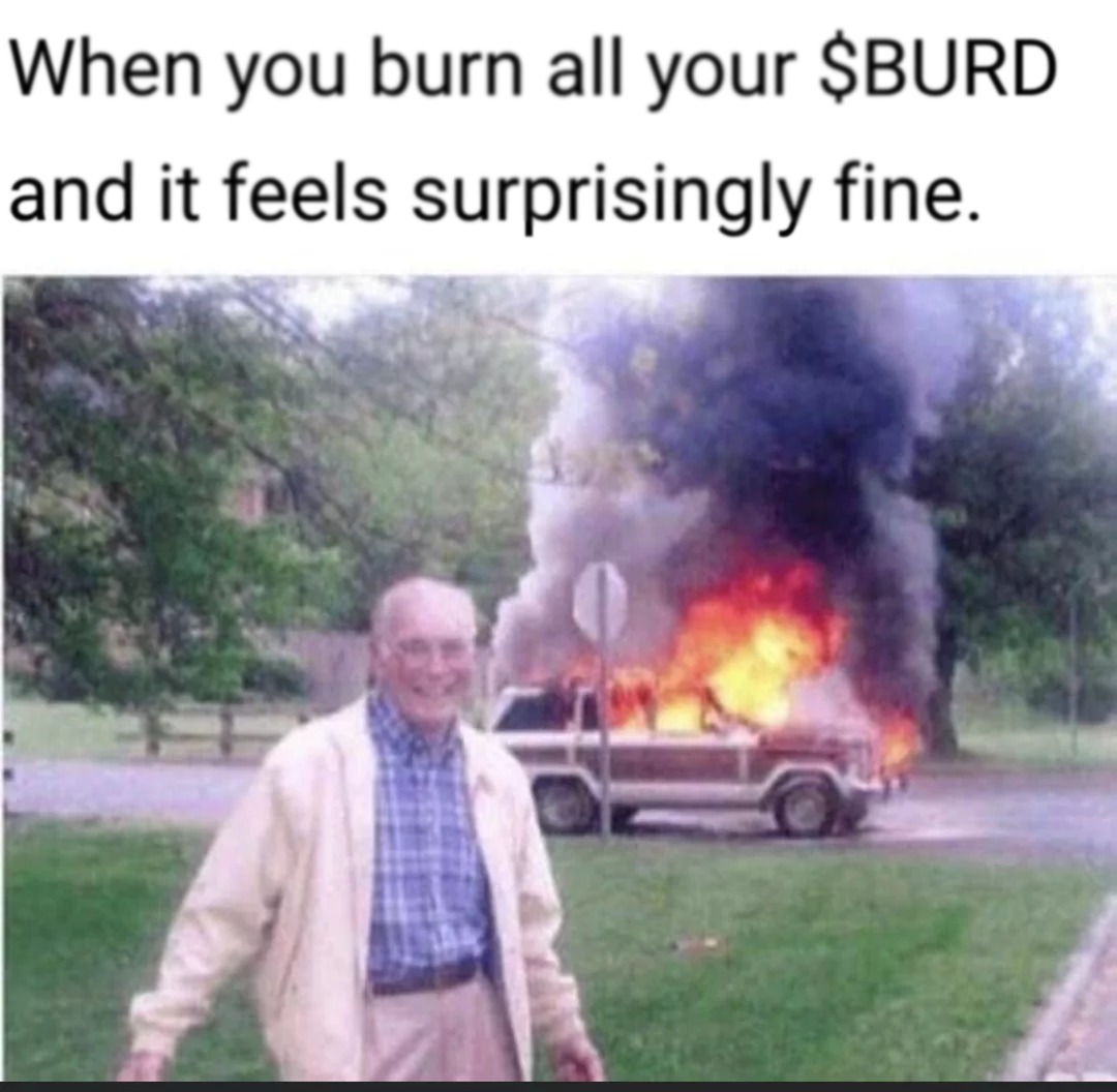 When everything’s burning but you know it’s just $BURD doing its thing. - meme