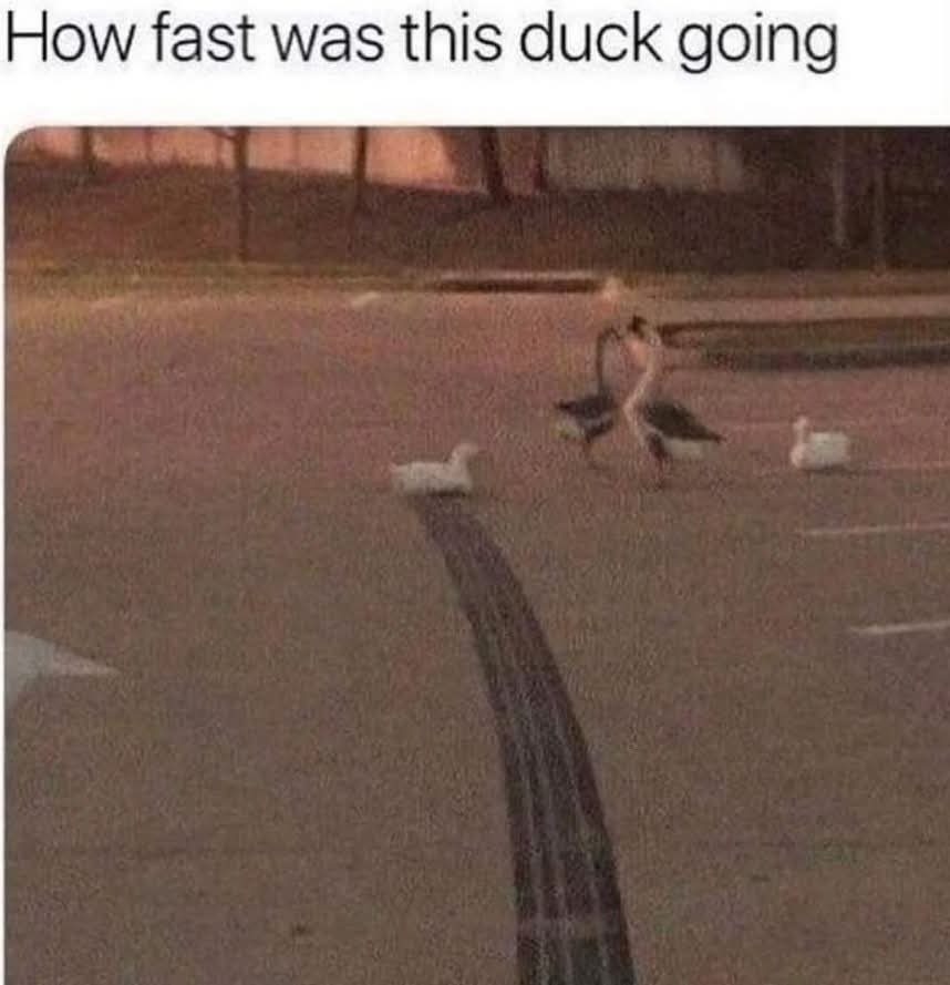 88 mph - meme