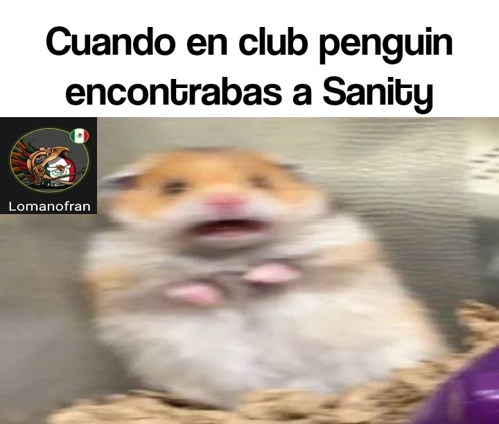Sanity es un hacker - meme