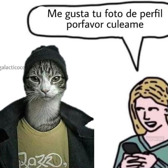 Gato sexo - meme