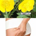What's up buttercup?