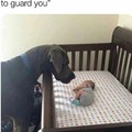 Guard doggo