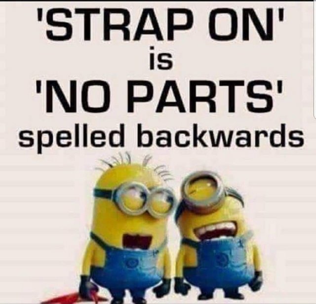 'STRAP ON' is 'NO PARTS' spelled backwards - meme