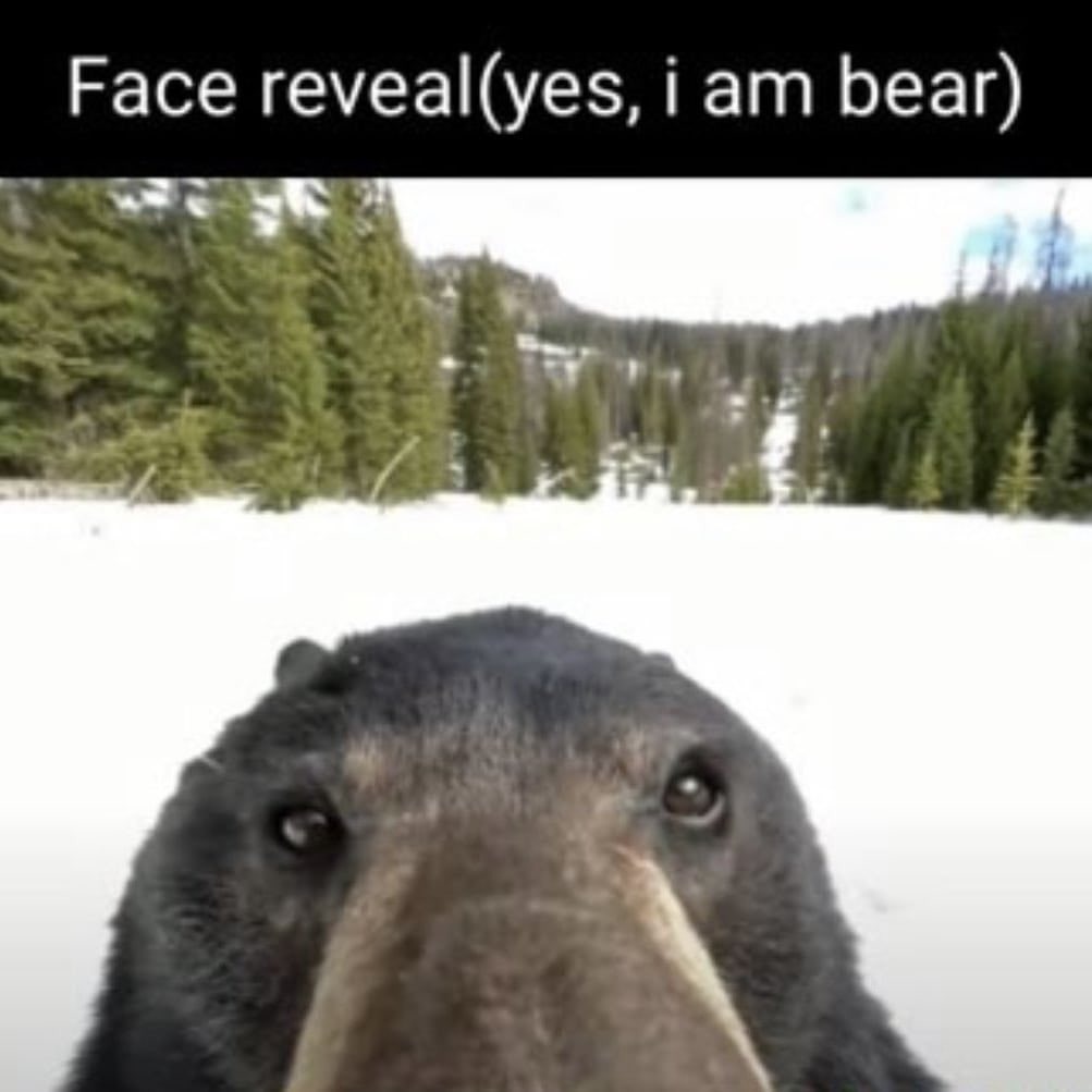 Face Reveal - meme