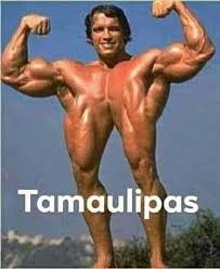 Tamaulipas - meme