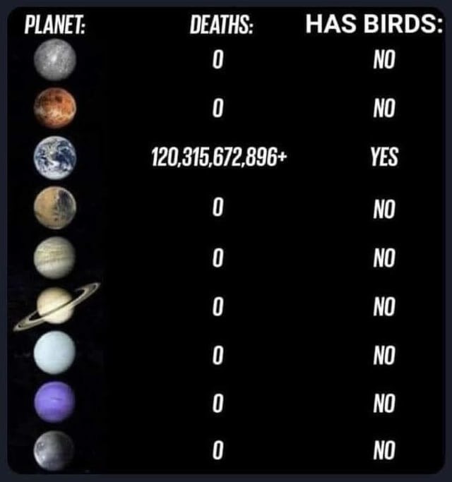 Birds are the problem - meme