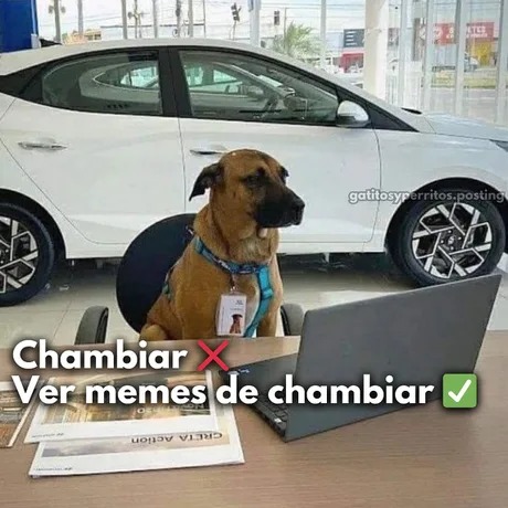ver memes de chambear
