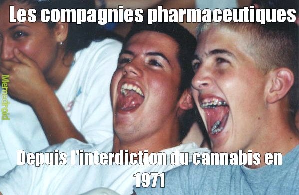 Oui - meme