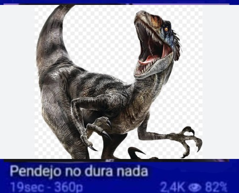 Perdón por edición pero mi primo pendejo no me dejaba - meme