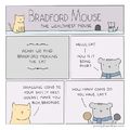 snob mouse