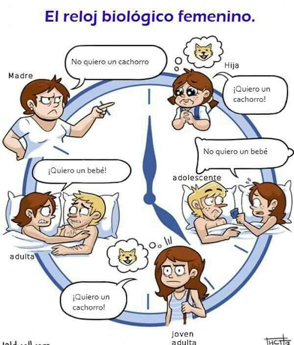 Reloj biologico - meme