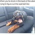 I've never taken an uber
