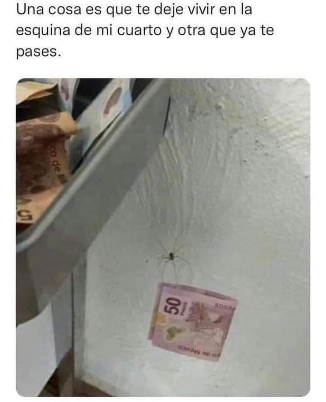 donde hay arañas hay dinero - meme