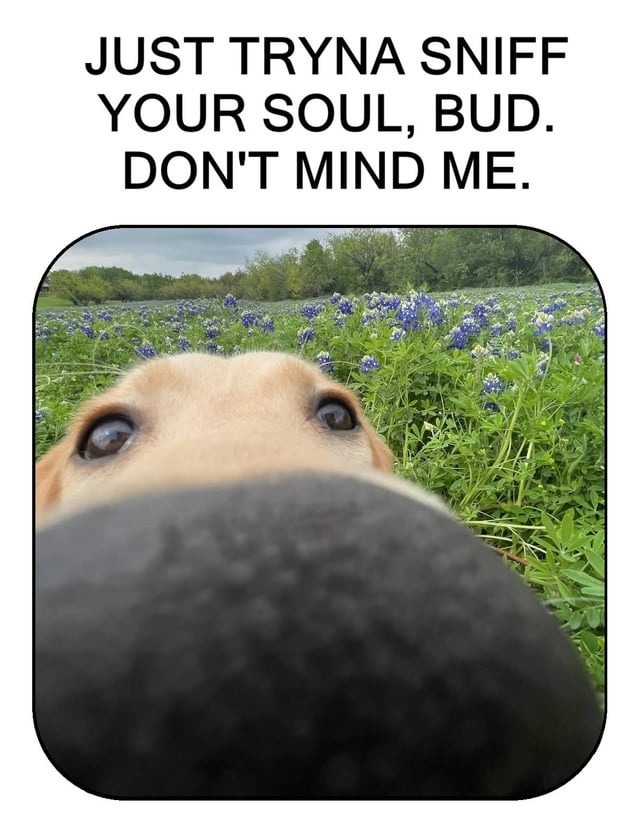 just here to sniff your soul, bro - meme