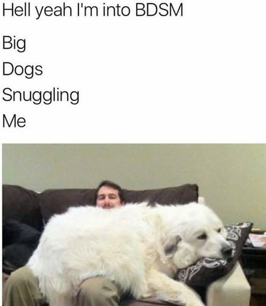 That's a big dog. - meme