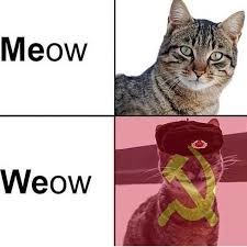 weow - meme