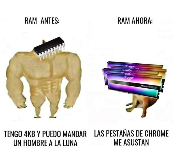 La ram usada para chorradas hoy en día - meme
