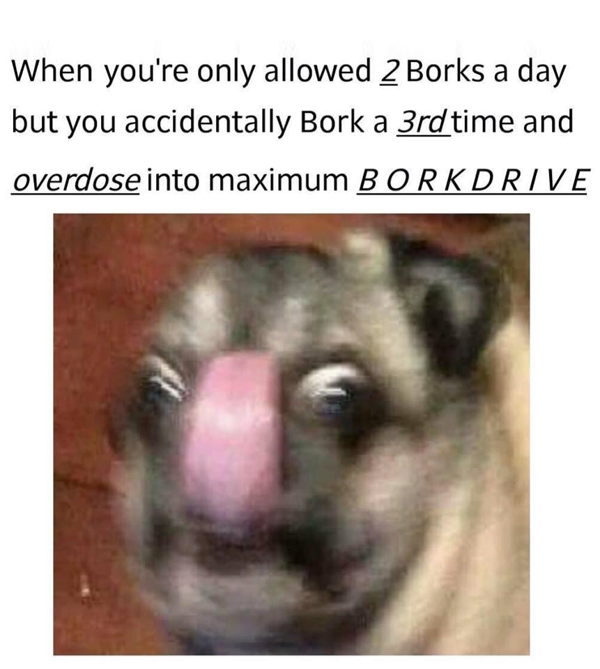 Two borks a day keeps the doctor away. - meme