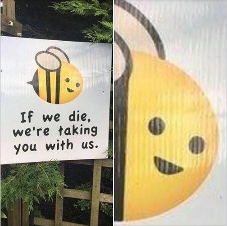 Bees are so important - meme