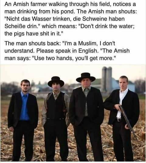 Amish advice - meme