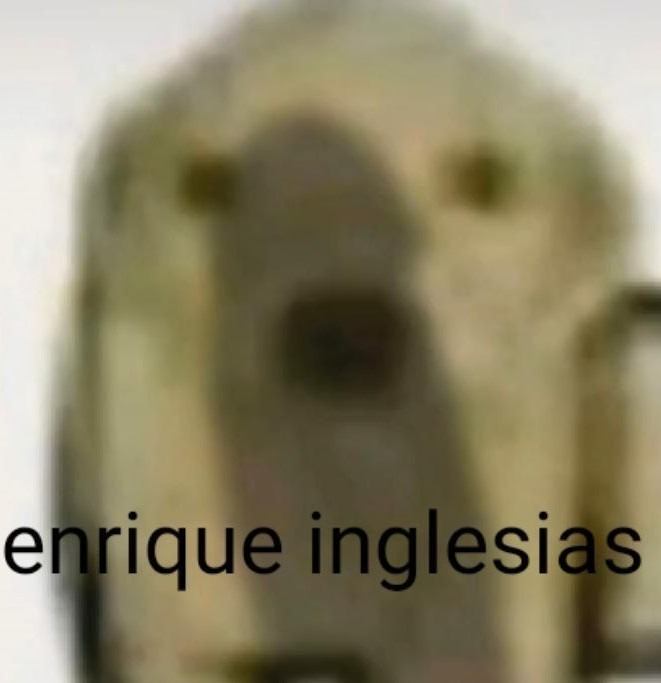 Enrique Iglesias - meme