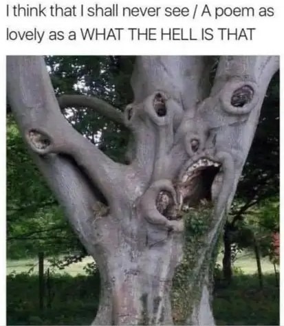 I now worship this tree - meme