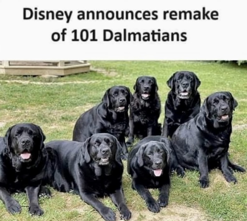 101 Dalmatians - meme
