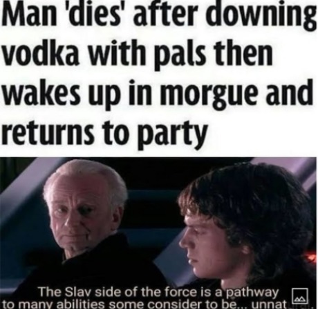 the slav side - meme
