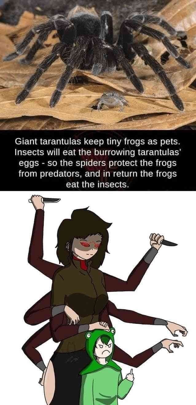 it be like that (not my artwork) - meme