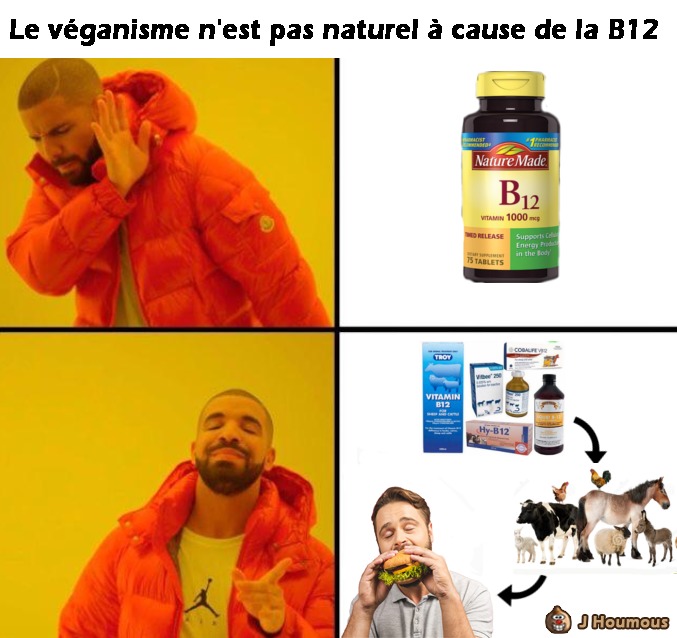 B12 - meme