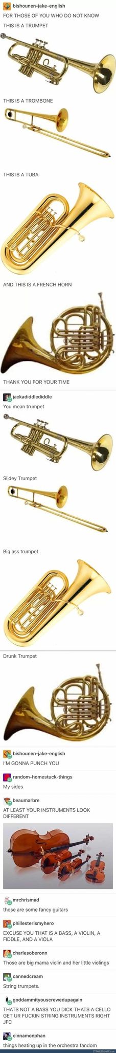 My Boi Trumpet - meme