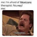 Afraid of Mexicans