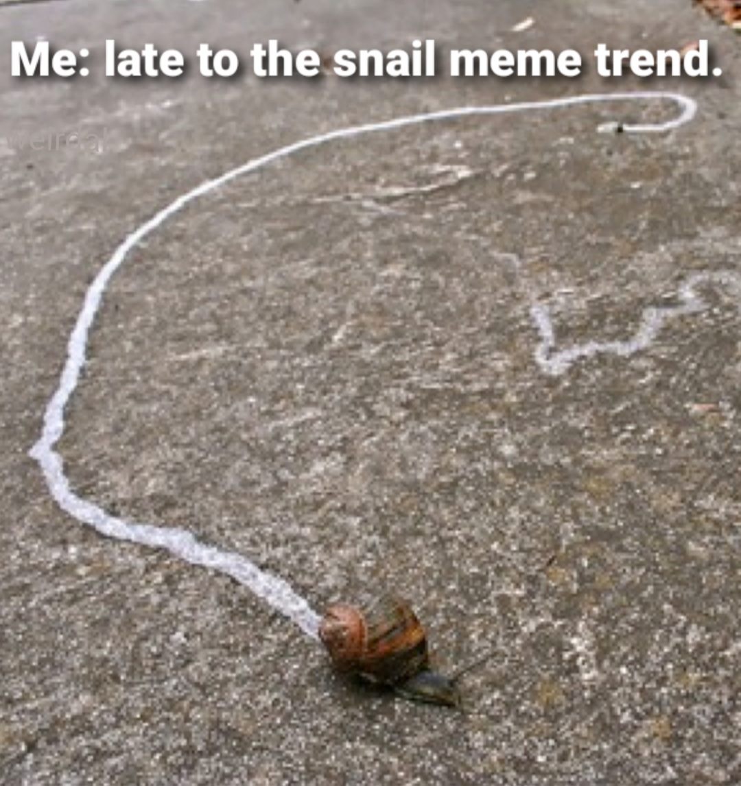 Snail slime, snail slime, salt salt salt. - meme