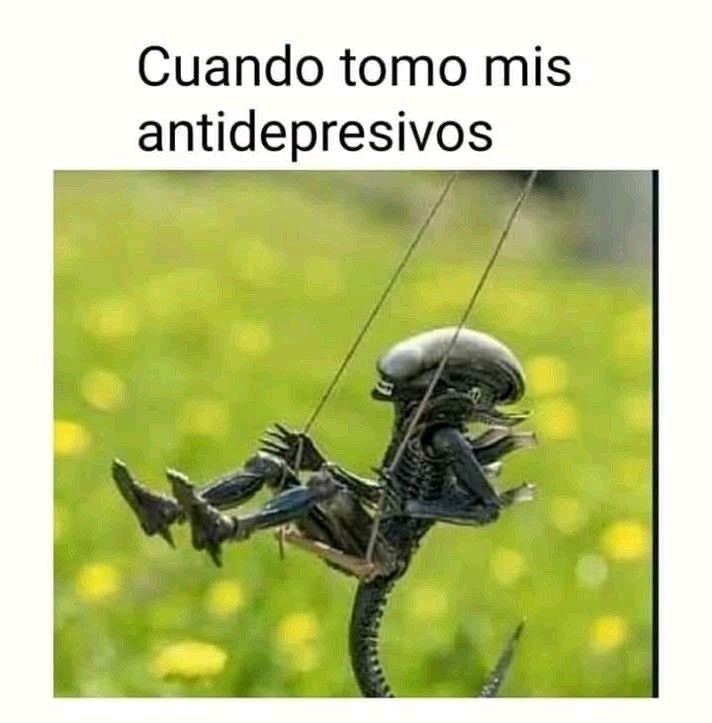 Pues básicamente - meme