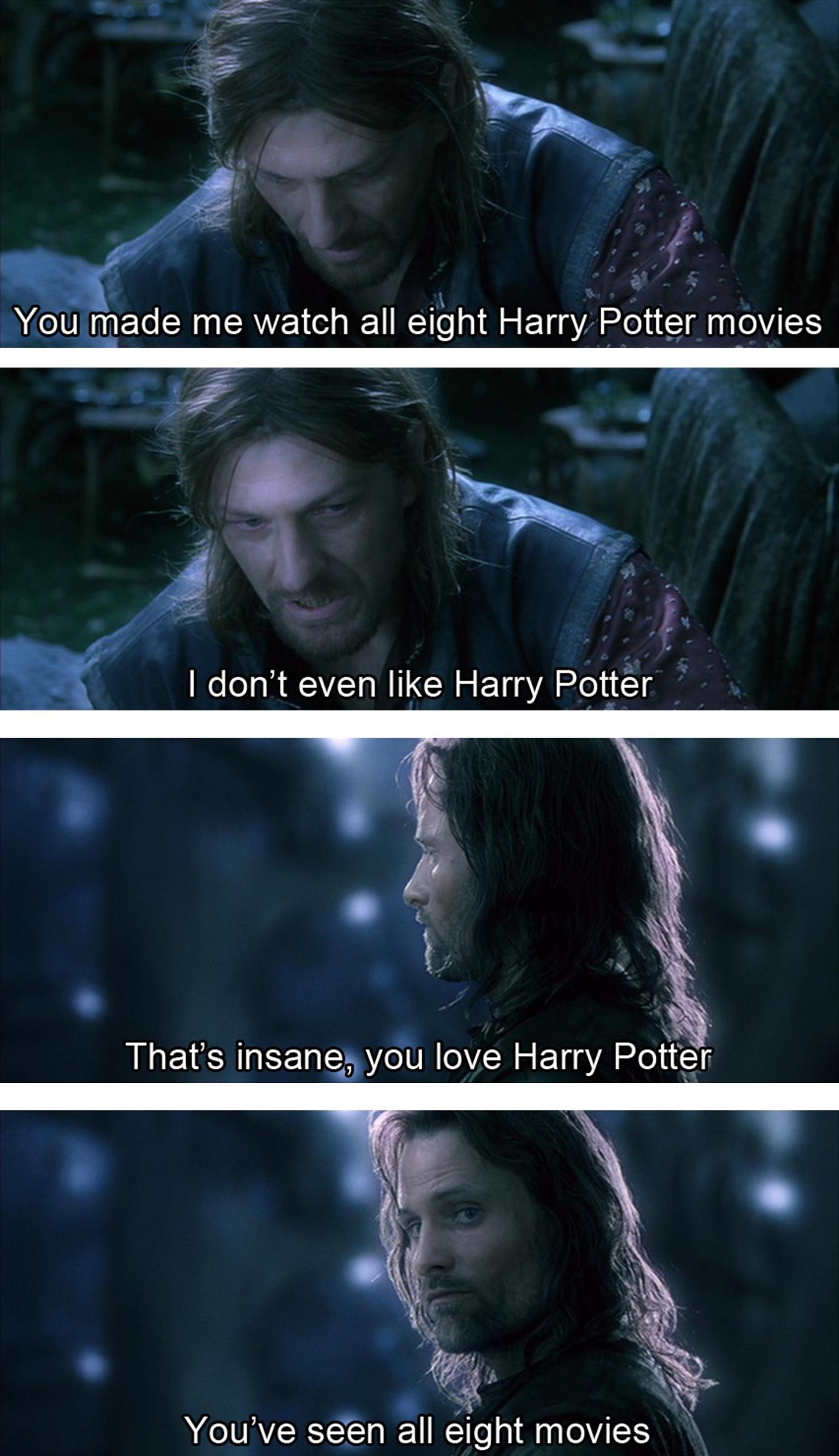 Everyone likes Harry Potter - meme