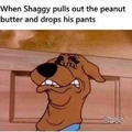 The bad side of shaggy