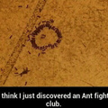 Anthony the ant would rek