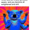 you become a blue 4 arms koala