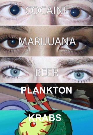 Plankton, Krabs! - meme