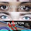 Plankton, Krabs!