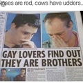 gay lovers find out they are brothers