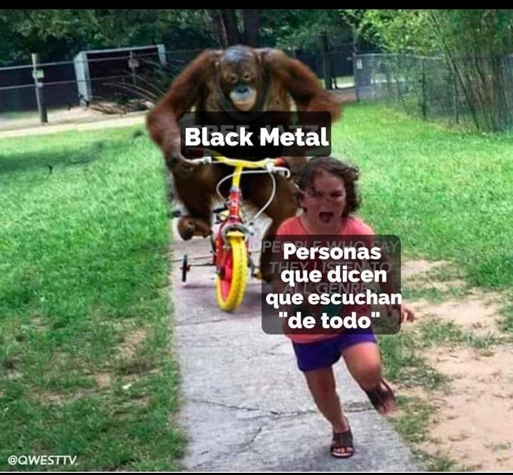 aguante el metal negro - meme