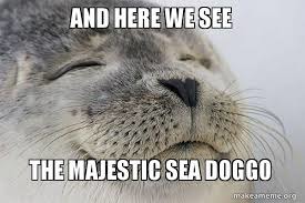 sea doggo - meme