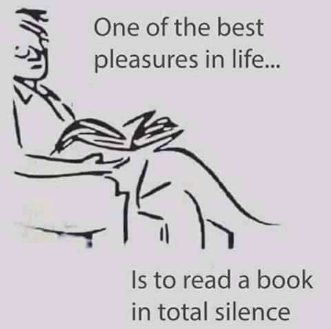 What have y'all been reading kings? - meme