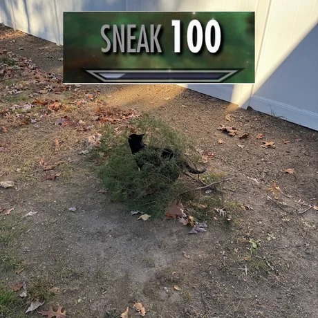 Sneak 100 - meme