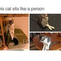 Cat Theory