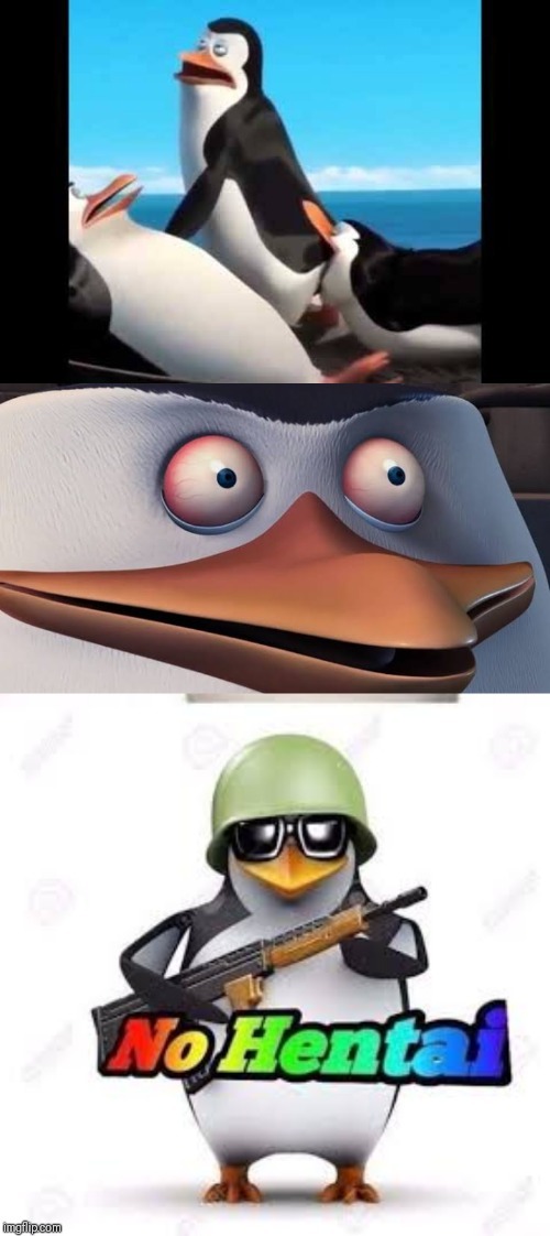Madagascar Penguin Meme. 